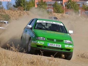 Seat ibiza 2.0 16v tierra