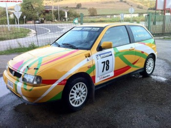 Seat ibiza tierra seat sport