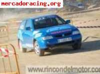 Seat ibiza 2.0 ganador copa tierra