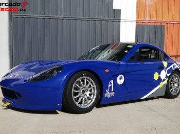 Ginetta g40 gt5. 16.800€