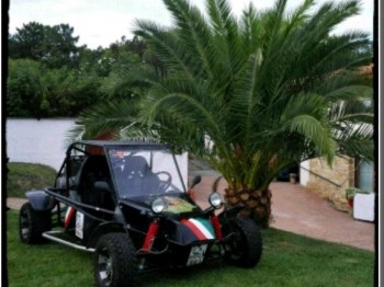 Bugy r1 180cv competición