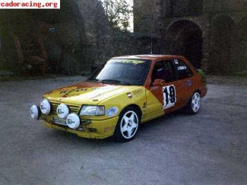 Peugeot 309 gti 16v grupo n