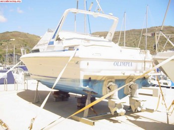 Cambio embarcacion sea ray de 9mts por coche de rallyes