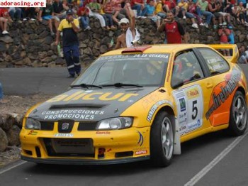 Seat cordoba wrc evo 3