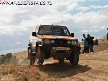 Mitsubishi pajero 3.0v6 raids