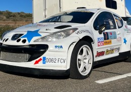 Peugeot 207 n1