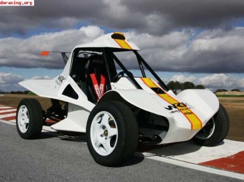 Wrk world rally kart - hotbuggy