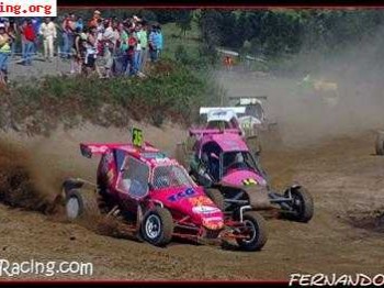 Se vende semog muy gordo