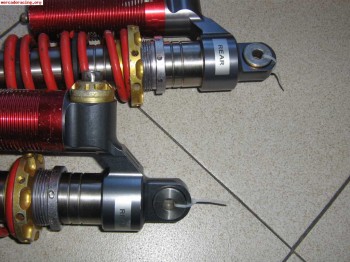 Amortiguacion trasera xtremtech