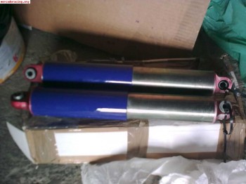 Suspensión trasera fournal