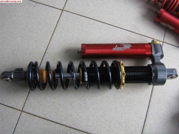 Vendo amortiguacion xtremtech tope de gama trasera