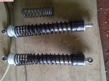 Amortiguacion delantera semog 