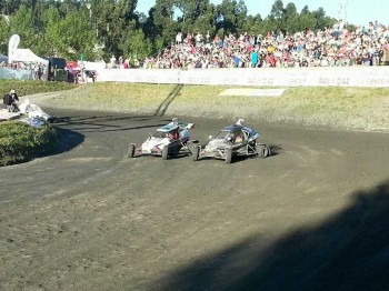 Se alquila semog bravo. campeonato gallego y nacional