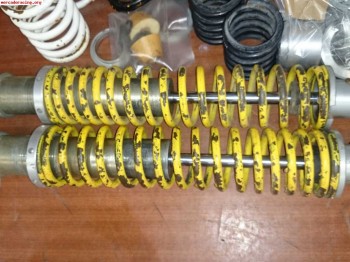 Suspensión delantera saf