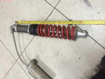 Amortiguación trasera proflex