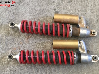 Amoetiguadores proflex 