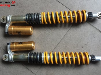 Suspensión delantera ohlins 