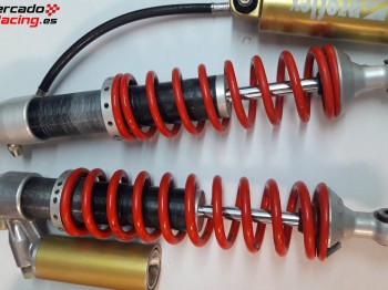 Amortiguadores proflex yacarcross /semog