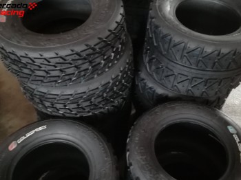 Neumáticos goldspeed nuevos