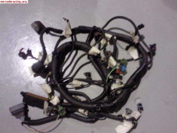 Cableados y centralita