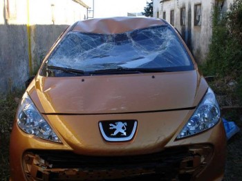 Mecanica peugeot 207
