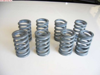 Muelles de valbula de 205 rallye