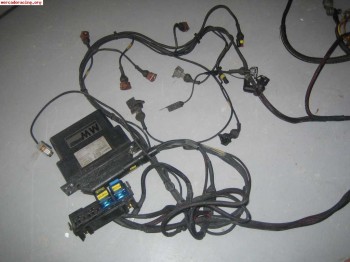 Se vende electronica reprogamable con cartografia gr amotors