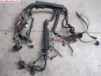 Cableado bmw m3 286cv