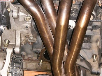 Colectores inox 206xs..