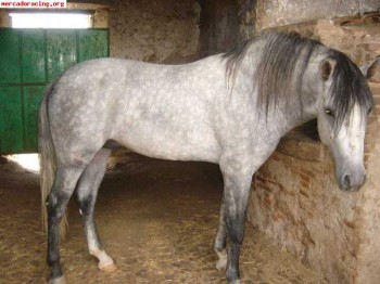 Caja de grupo a crabots de 6 velocidades para renault