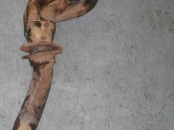 Multiple de escape de clio 172