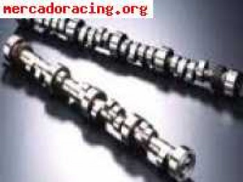 Arboles levas clio gr a