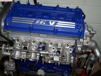 Kit de mariposa mi 16v