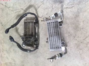 Radiador de aceite suzuki gsxr 1000