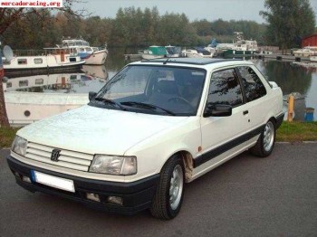 Motor,caja y electronica 309 gti