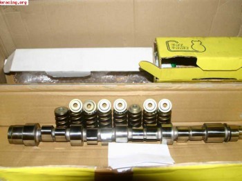 Levas catcams gr.a para 205 rally.......