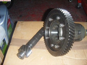 Grupos cortos renault