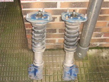 Electronica walbro tdd evo6 para brida 36 con bang,programab