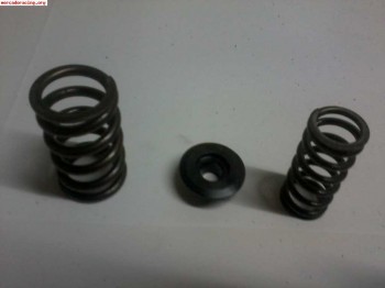 Vendo dobles muelles