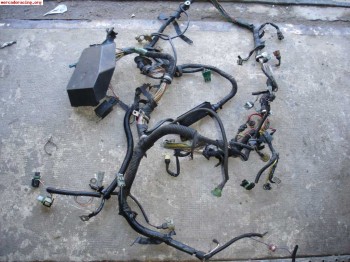 Instalacion electrica de clio 16v