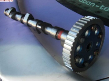 Vendo arbol de levas y polea regulable