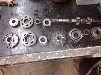 Se vende relacion pupo a crabots para be3 y be4 urge venta