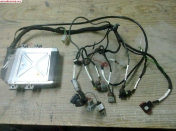 Instalacion electrica simplificada motor para saxo, 106, c2,