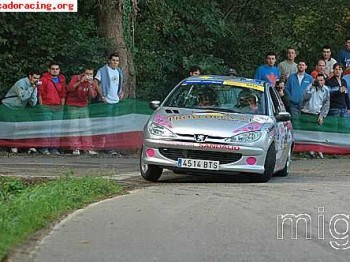 Vendo varios de peugueot 206 xs