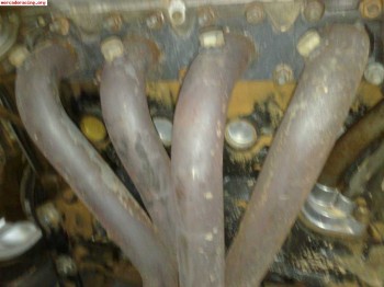 Venta de clectores de escape