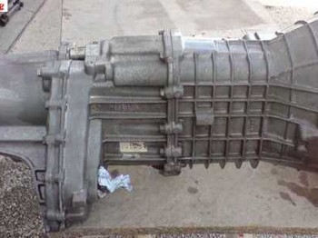 Cjaja para escort o sierra  coswort4x4