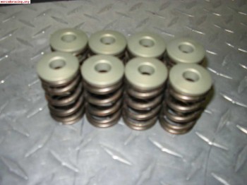 Muelles y copelas de válvula 205 rallye cat cams