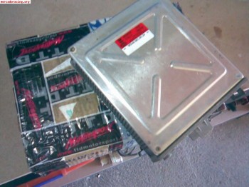 Centralita gorda para escort o sierra coswort 