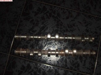 Arboles 206 desafio nacional