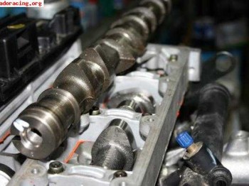 Arboles 206 desafio nacional